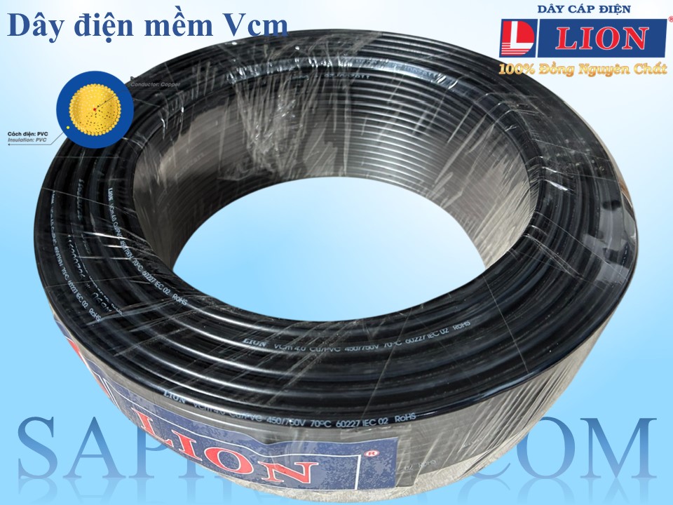 Day-dien-mem-Vcm-Lion (Den)